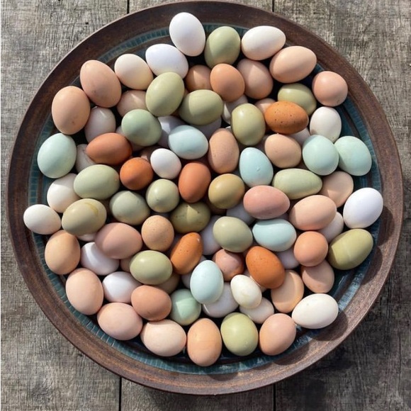 Happy Easter 🐰 - Picture 10 of 16